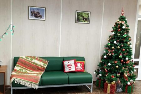 Внешний вид