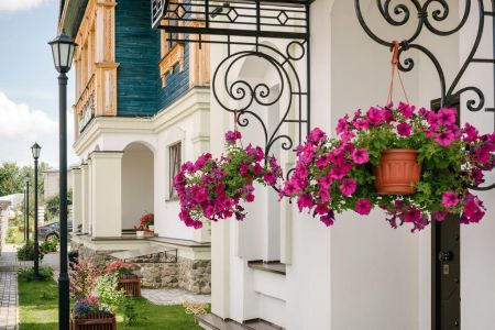 Внешний вид