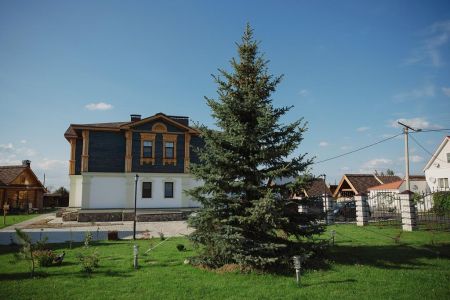 Внешний вид