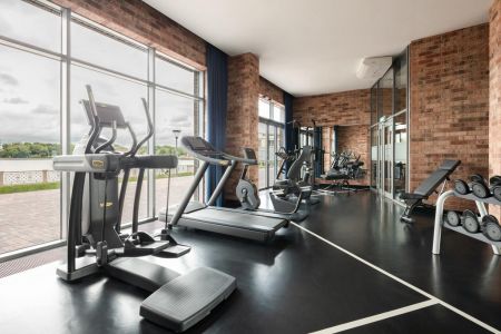 Внешний вид