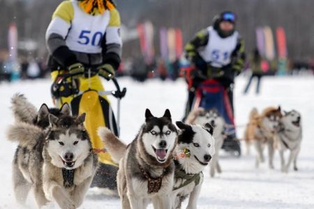 Зимний отдых