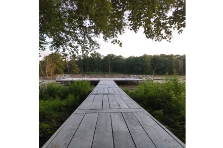 Русская баня