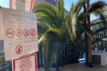 Внешний вид