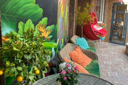 Внешний вид