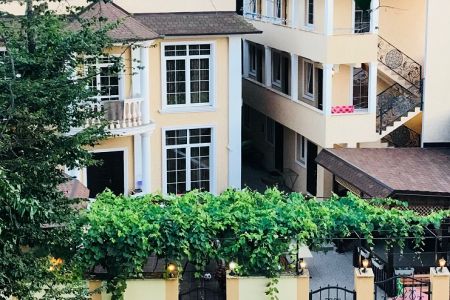 Внешний вид