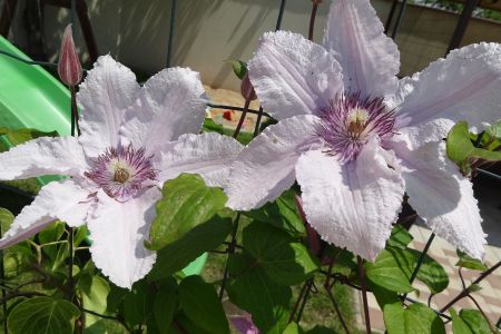 Внешний вид. Корпус