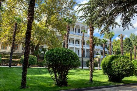 Внешний вид