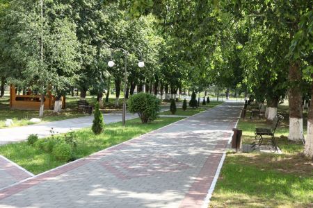 Внешний вид