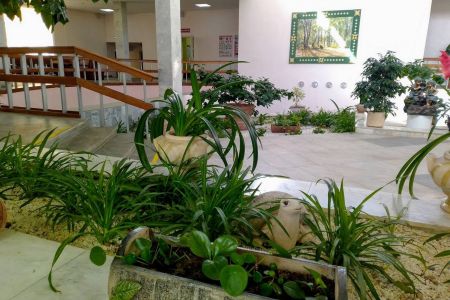 Внешний вид