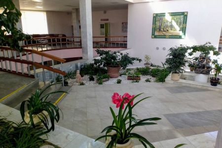 Внешний вид