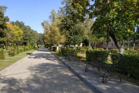 Территория