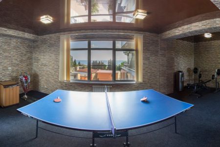 Настольный теннис