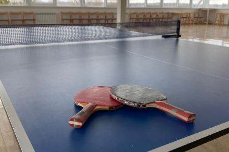 Настольный теннис