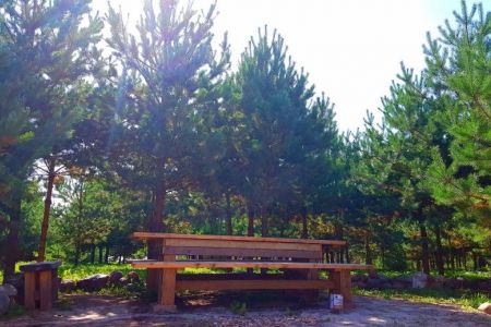 Внешний вид