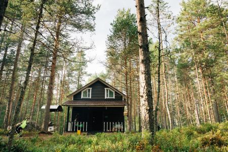 Дом 10-местный