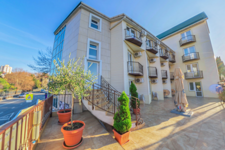 Оазис (Лазаревское)