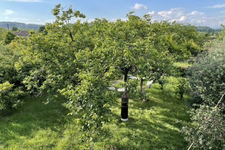 Территория. Гамаки