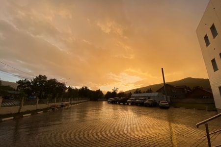 Внешний вид