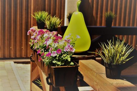 Территория