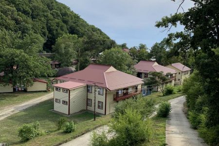 Внешний вид