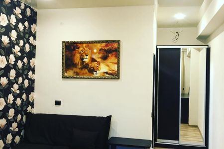 Внешний вид