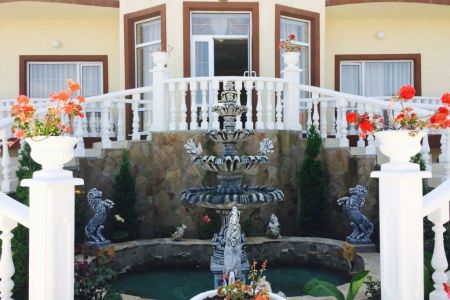 Внешний вид