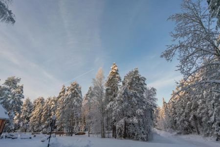 Семейный 2-местный 2-комнатный