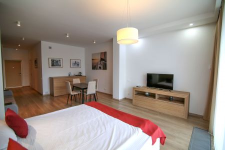 Апартаменты студио 2-местный №19