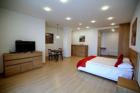 Апартаменты студио 2-местный №19