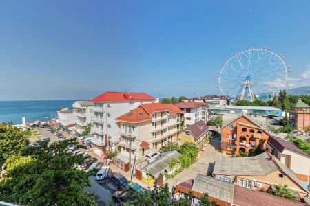 Внешний вид