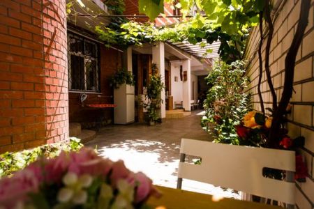 Внешний вид