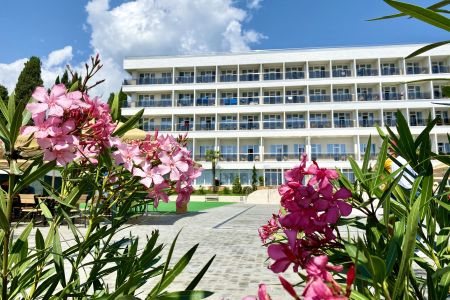 Внешний вид