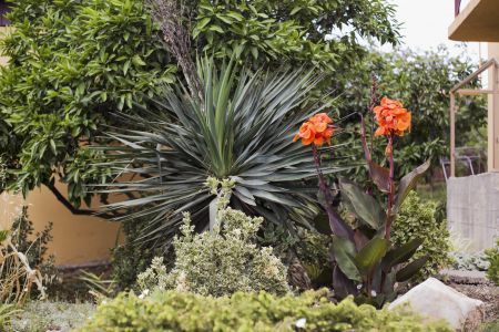 Внешний вид