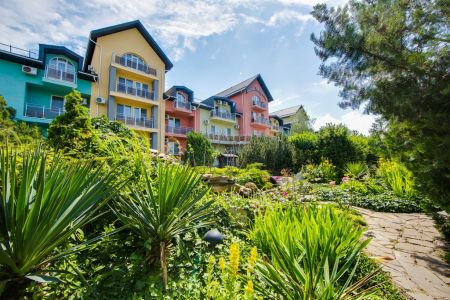 Внешний вид