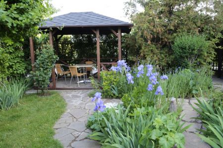 Внешний вид