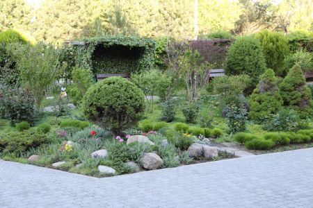 Внешний вид