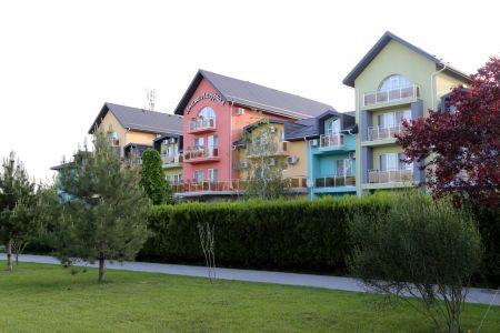 Внешний вид