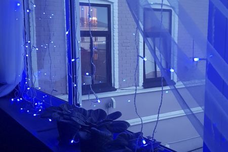 Внешний вид