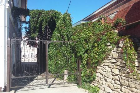 Внешний вид