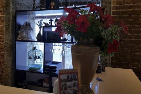 Внешний вид