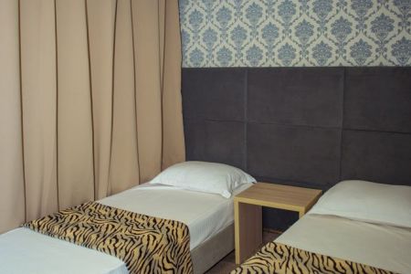 Комфорт 3-местный 1-комнатный 4