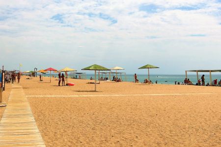 Внешний вид