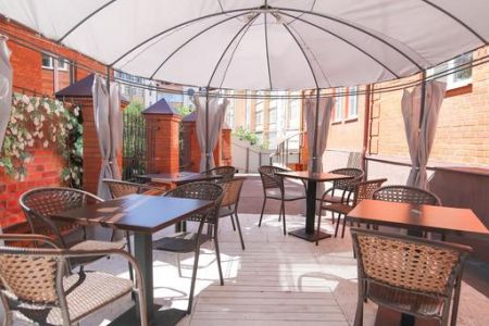 Внешний вид