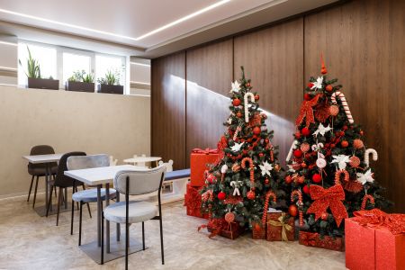 Внешний вид