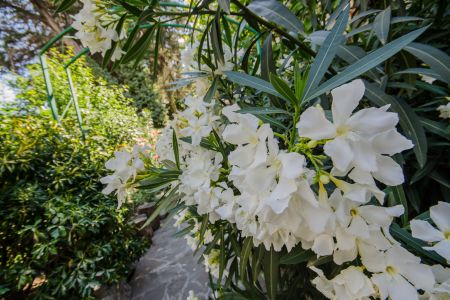 Фасад Виллы