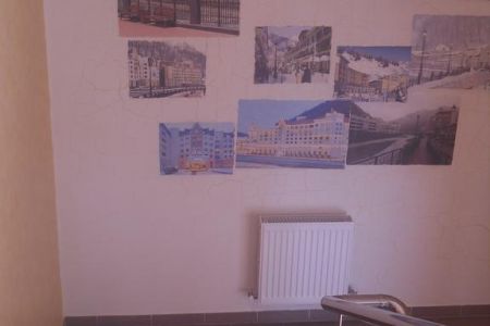 Внешний вид