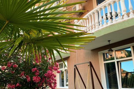 Внешний вид