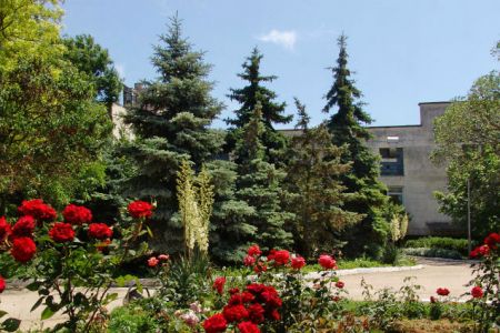 Внешний вид