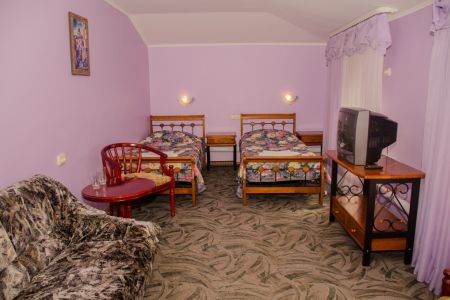 Стандартный 1-местный 1-комнатный