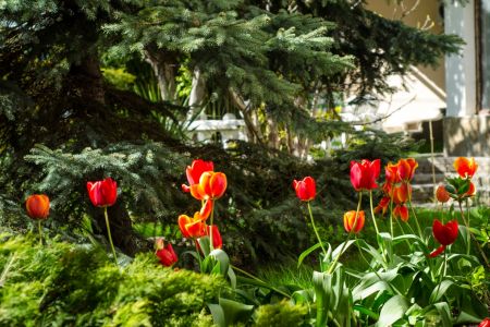 Стандартный 2-местный 1-комнатный